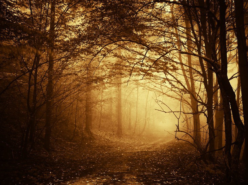 三绝句·楸树馨香倚钓矶