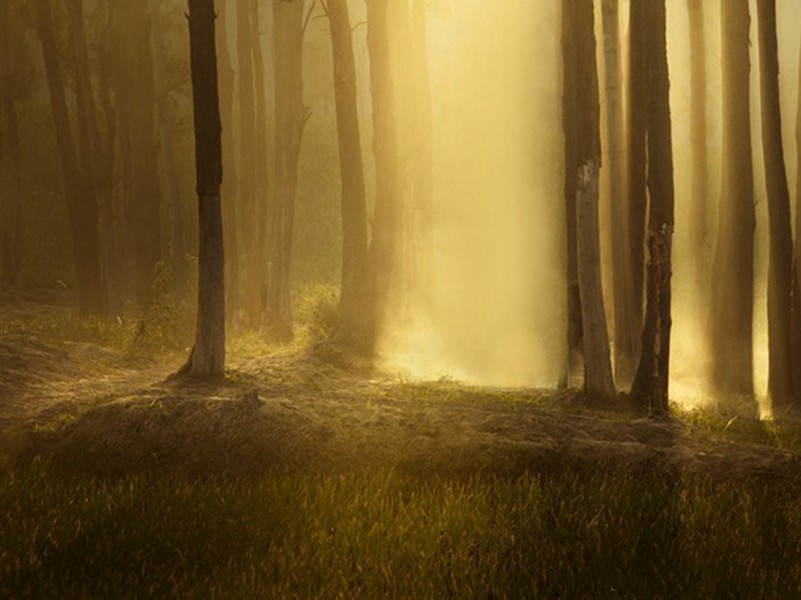 送梓州李使君之任