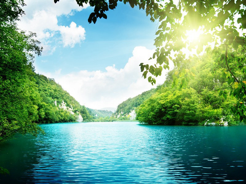 姜楚公画角鹰歌