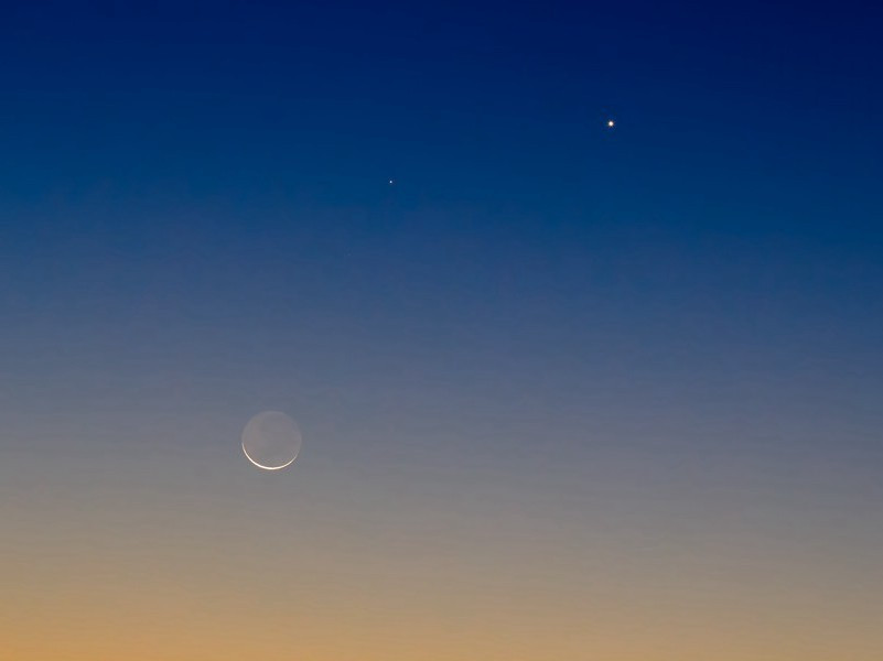 观薛稷少保书画壁