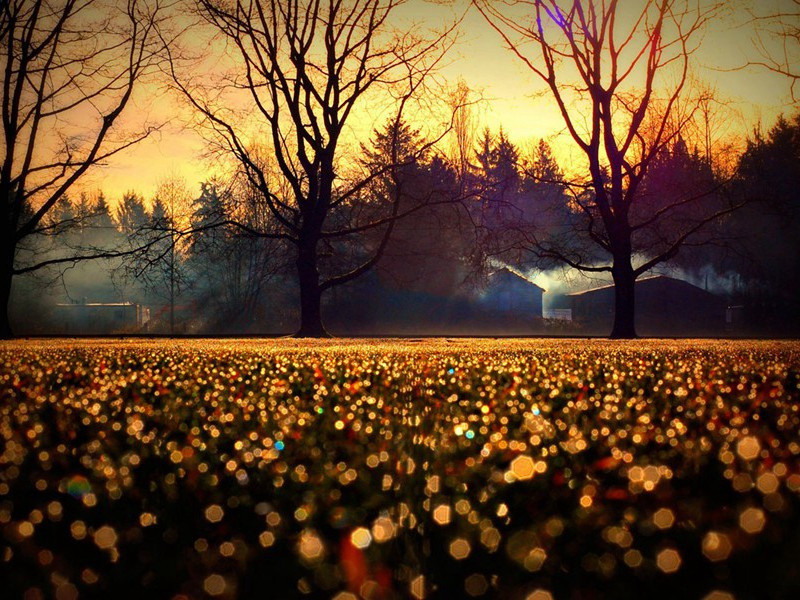 春日梓州登楼二首