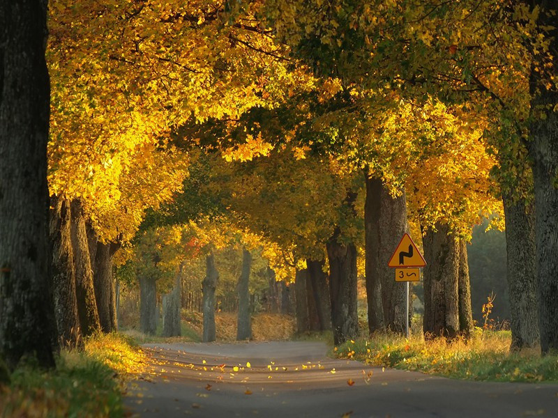 春日戏题恼郝使君兄