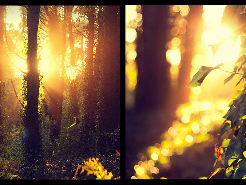 郪城西原送李判官兄武判官弟赴成都府