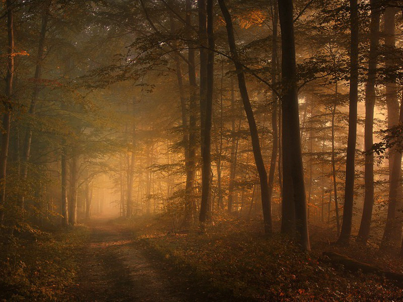 惠义寺送王少尹赴成都