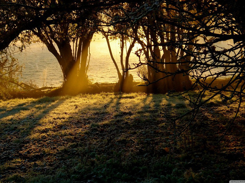 送路六侍御入朝