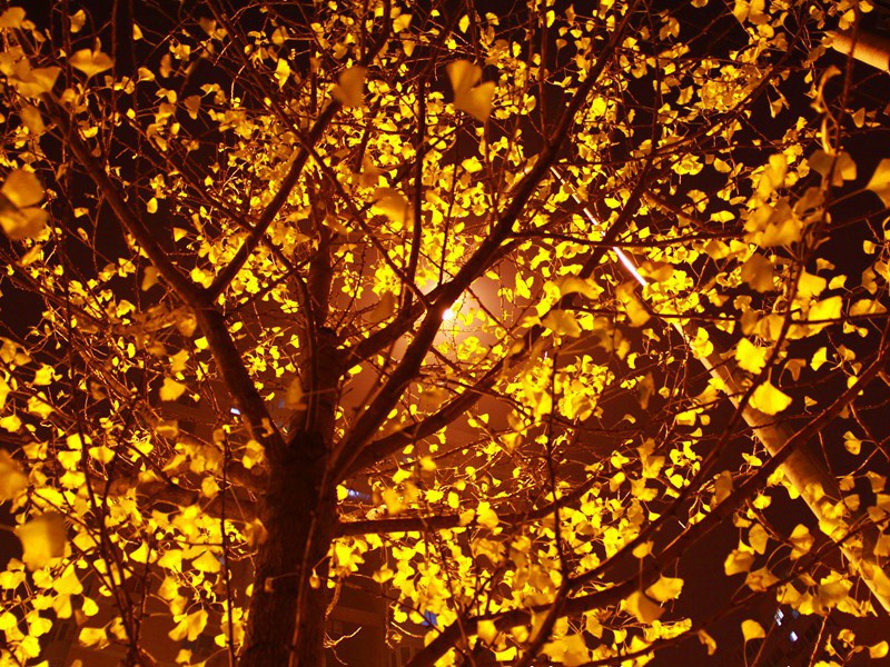 奉送崔都水翁下峡