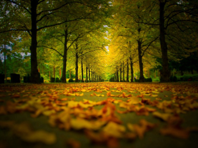 行次盐亭县聊题四韵奉简严遂州蓬州两使君咨议诸昆季