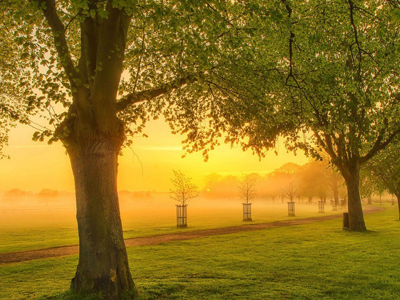 倚杖(盐亭县作)