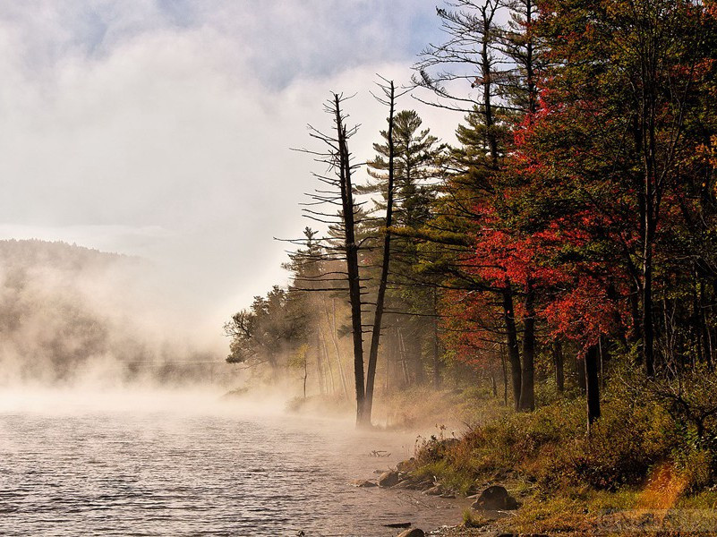 惠义寺园送辛员外