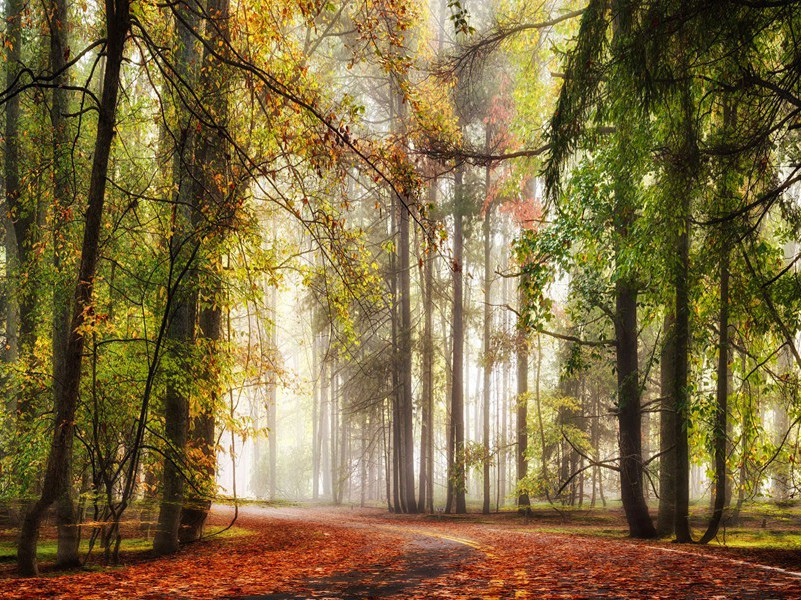 陪王汉州留杜绵州泛房公西湖