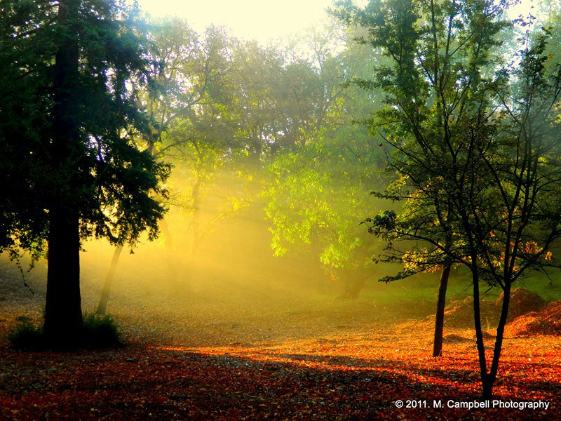 汉川王大录事宅作