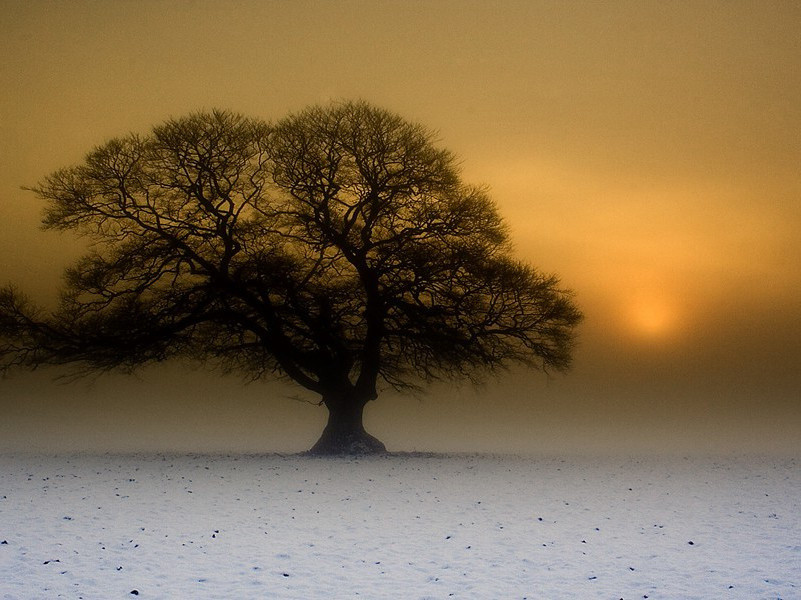 投简梓州幕府兼简韦十郎官