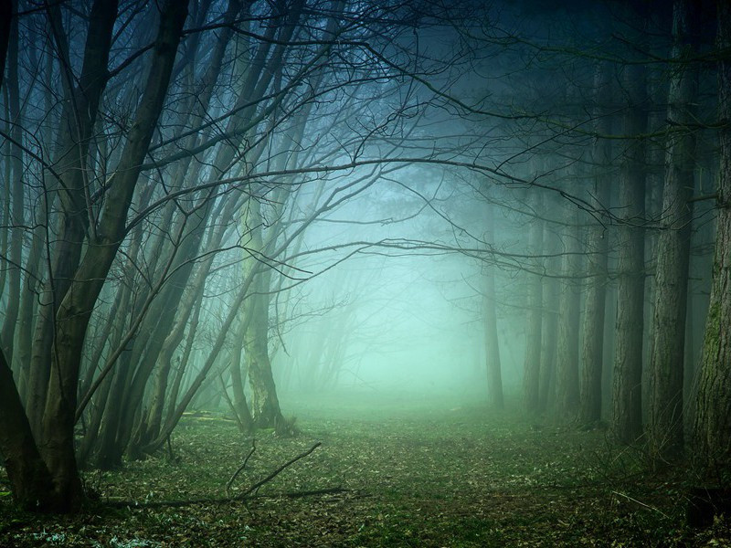 短歌行送祁录事归合州因寄苏使君