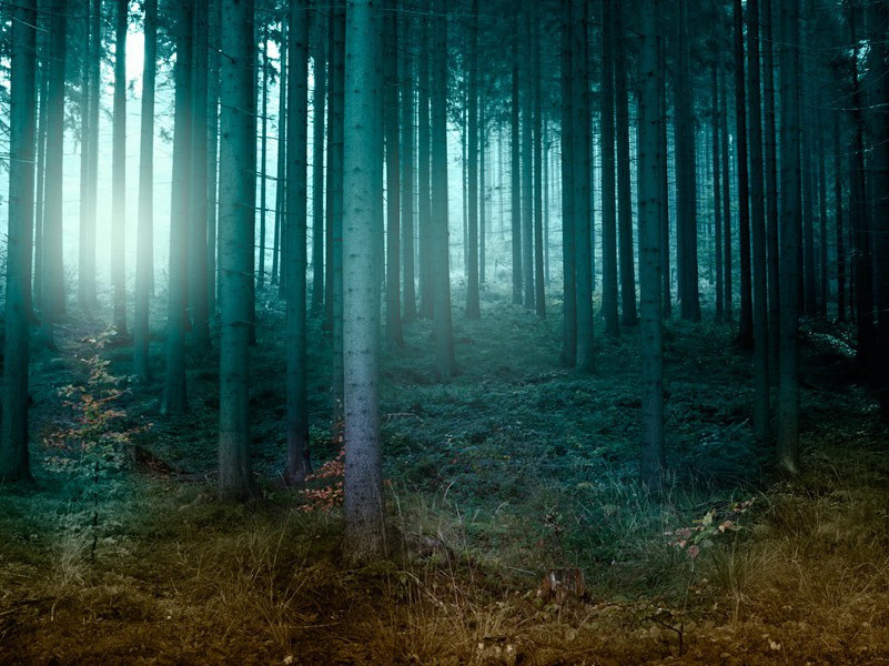 答郑十七郎一绝