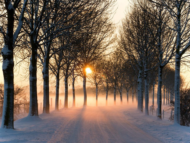 陪章留后侍御宴南楼