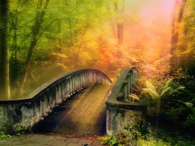 随章留后新亭会送诸君