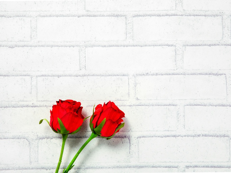 送陵州路使君之任