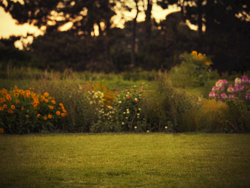 赠裴南部闻袁判官自来欲有按问