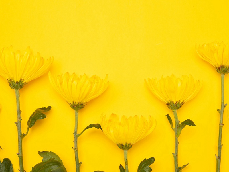 桃竹杖引赠章留后