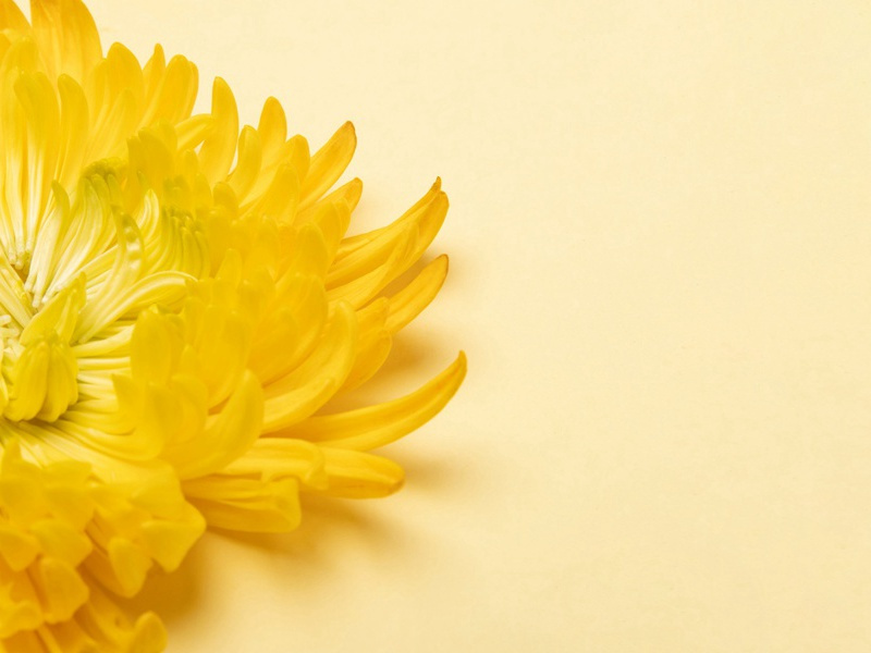 过南邻朱山人水亭