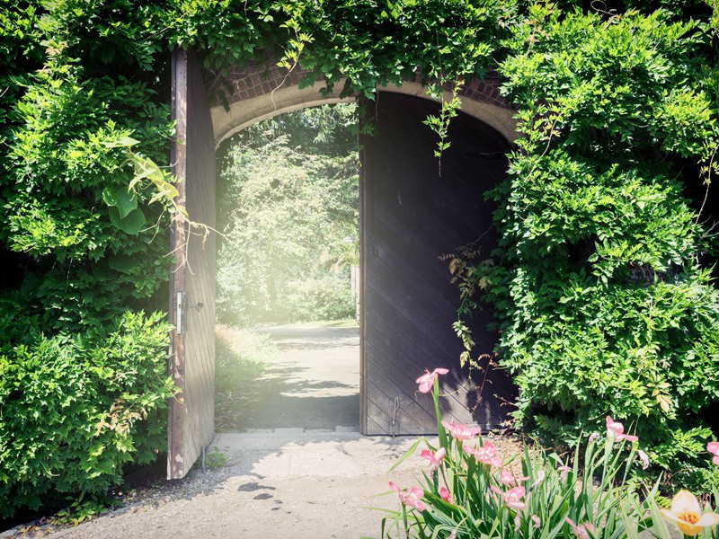 巴西闻收京阙送班司马入京