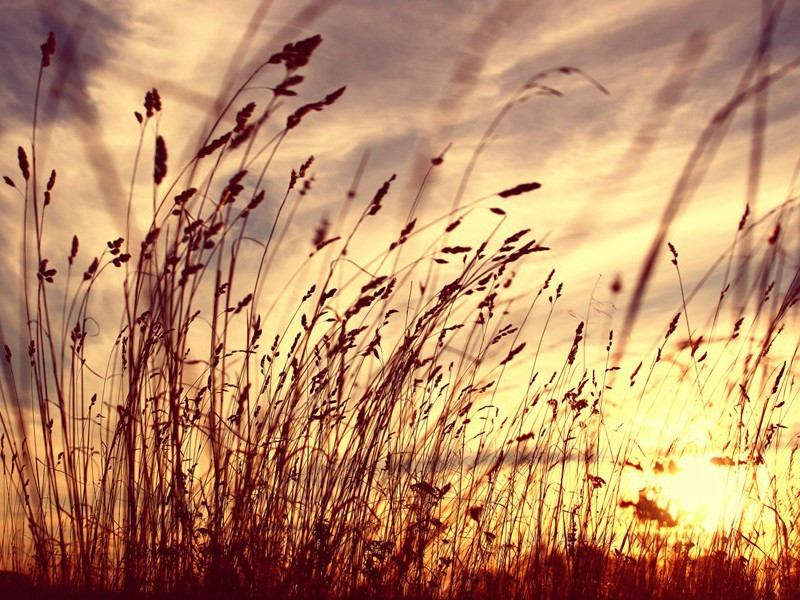 江亭王阆州筵饯萧遂州