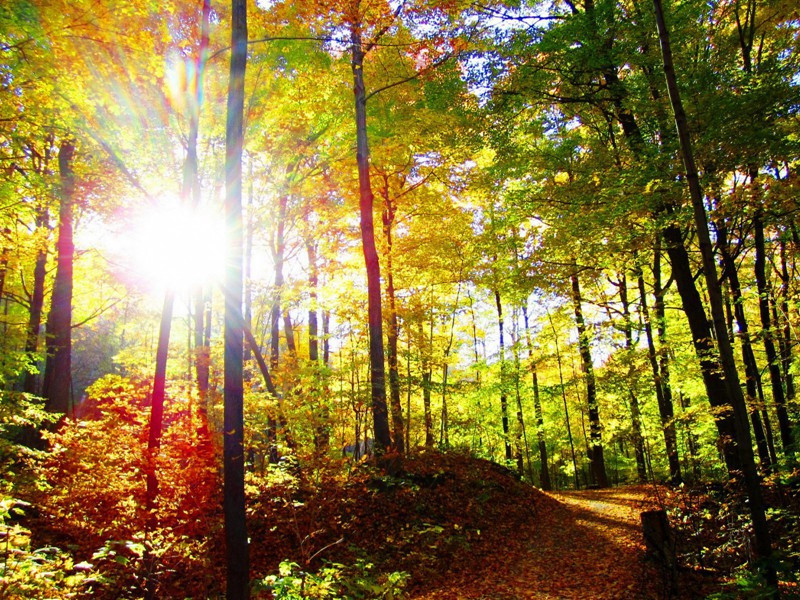 将赴荆南寄别李剑州