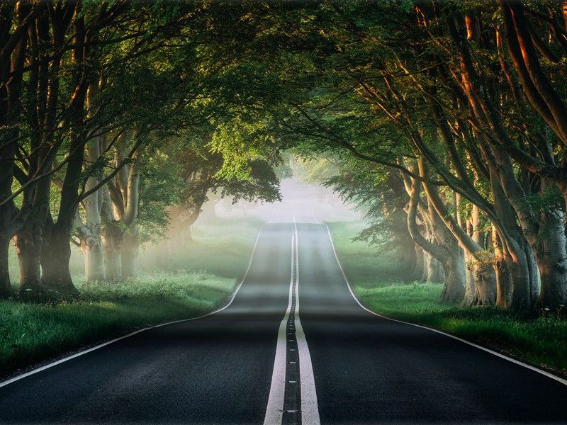 自阆州领妻子却赴蜀山行三首