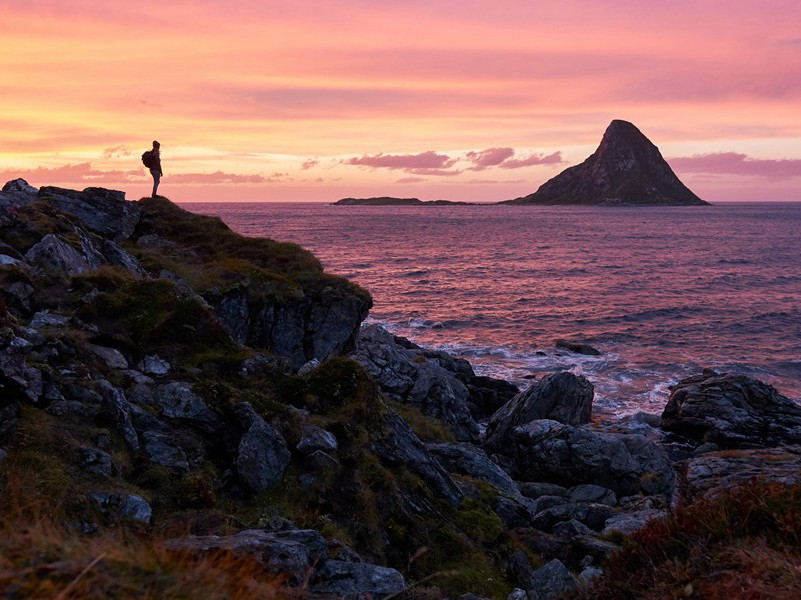 韦讽录事宅观曹将军画马图歌