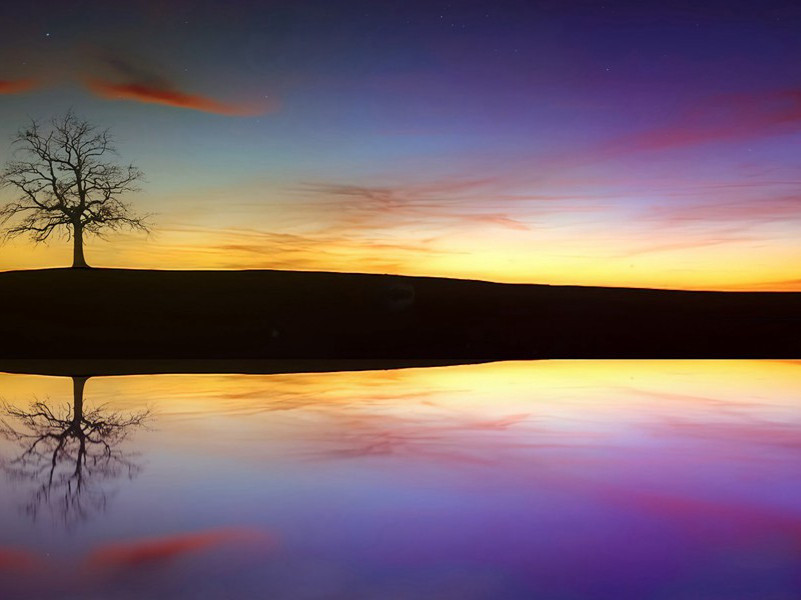 寄董卿嘉荣十韵