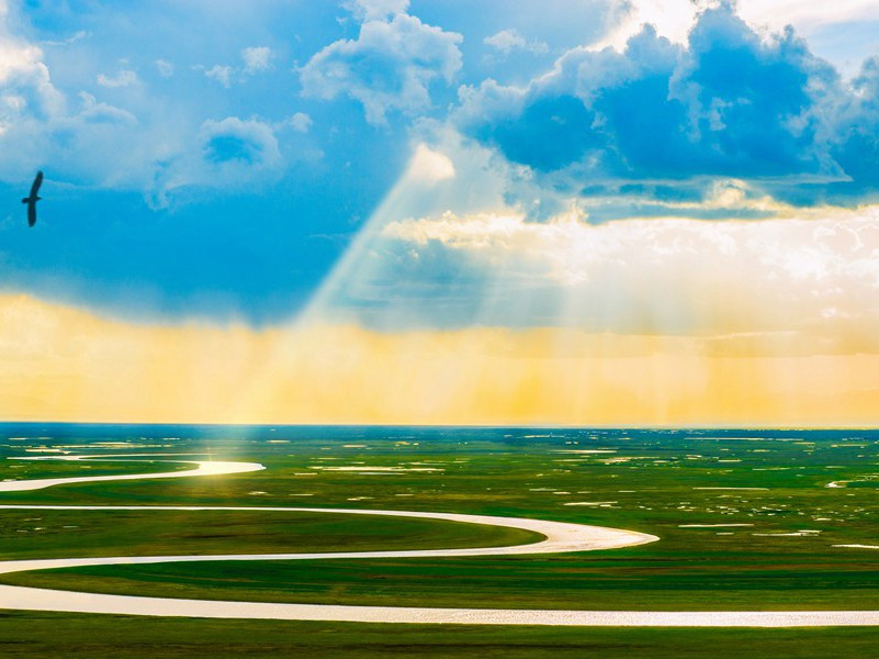 立秋雨院中有作