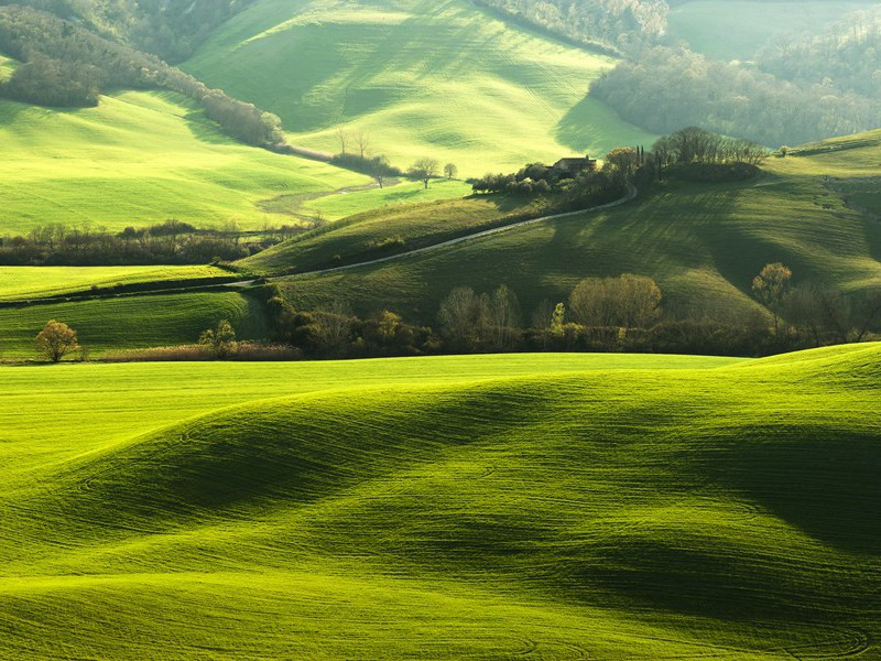 过故斛斯校书庄二首