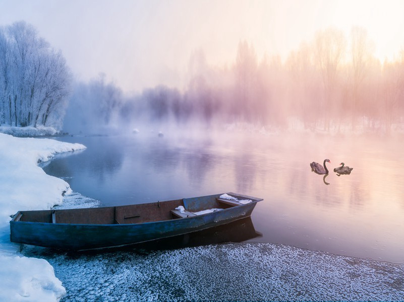 严郑公阶下新松