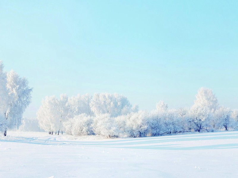晚秋陪严郑公摩诃池泛舟