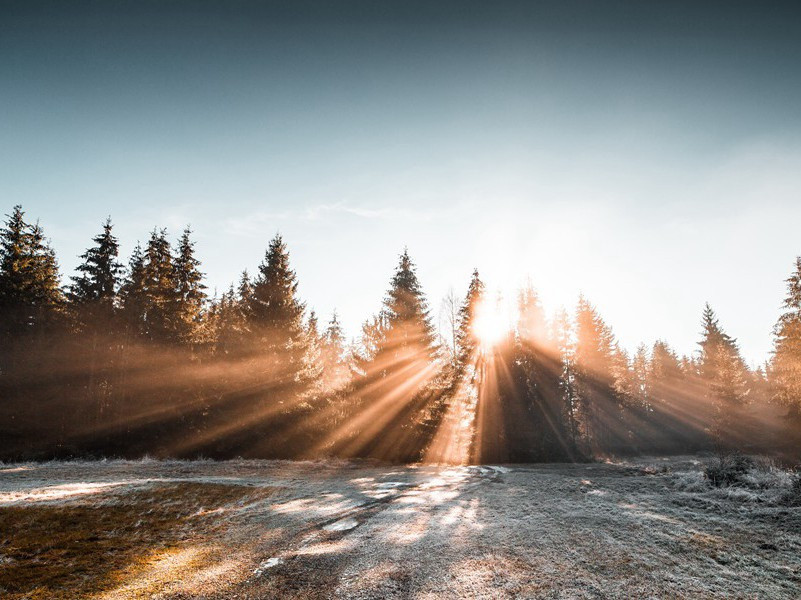 奉观严郑公厅事岷山沱江画图十韵