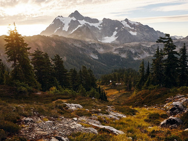 遣闷奉呈严公二十韵