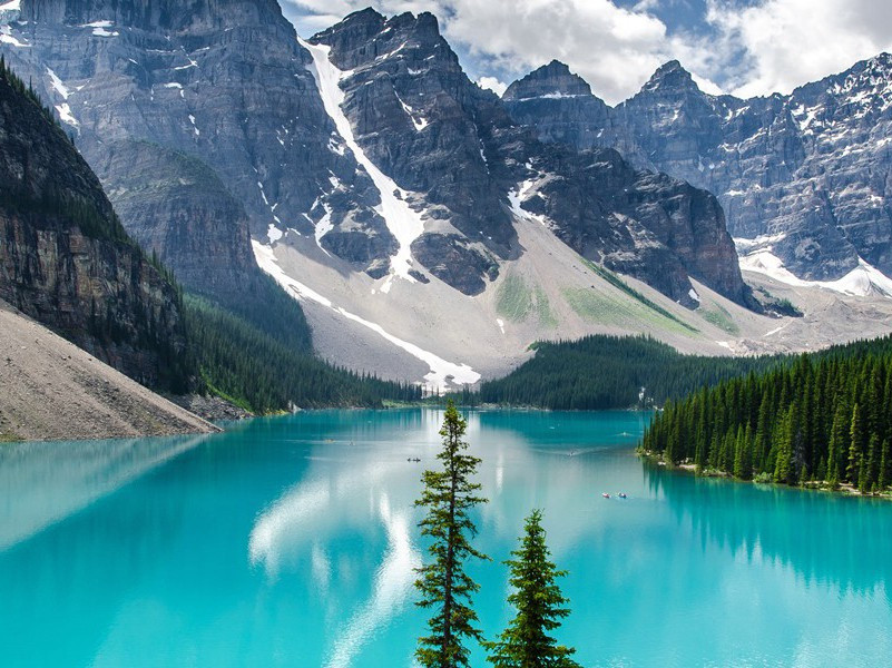 敝庐遣兴奉寄严公