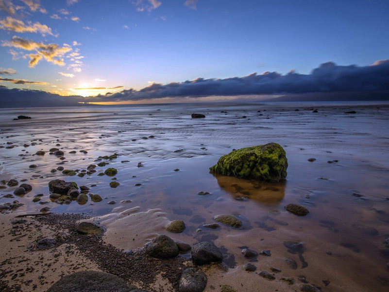 渝州候严六侍御不到先下峡