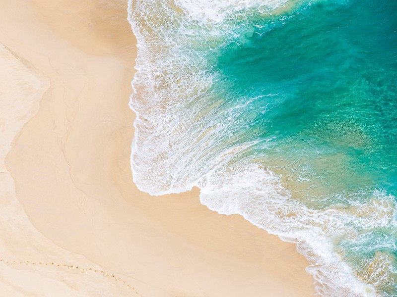 送孔巢父谢病归游江东兼呈李白