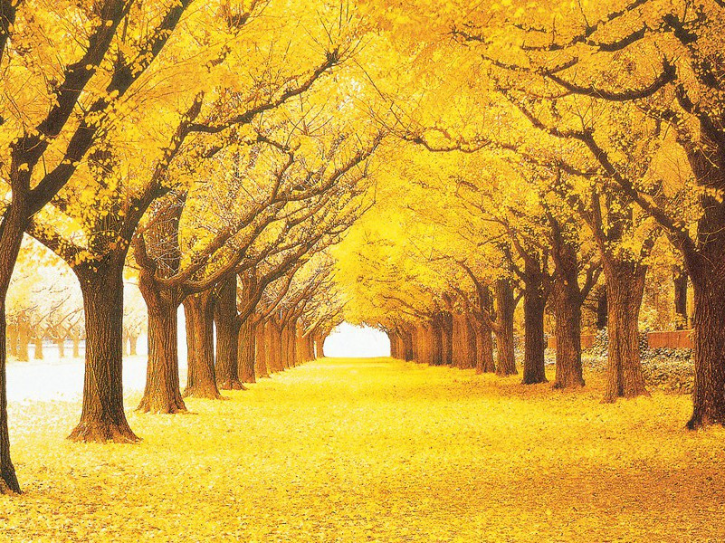 十二月一日三首