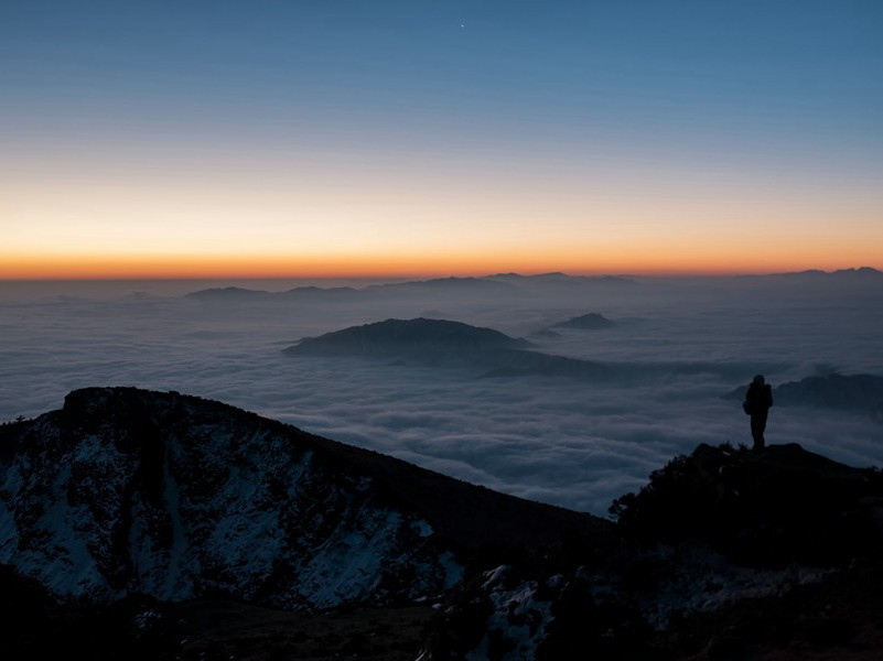 戏简郑广文兼呈苏司业