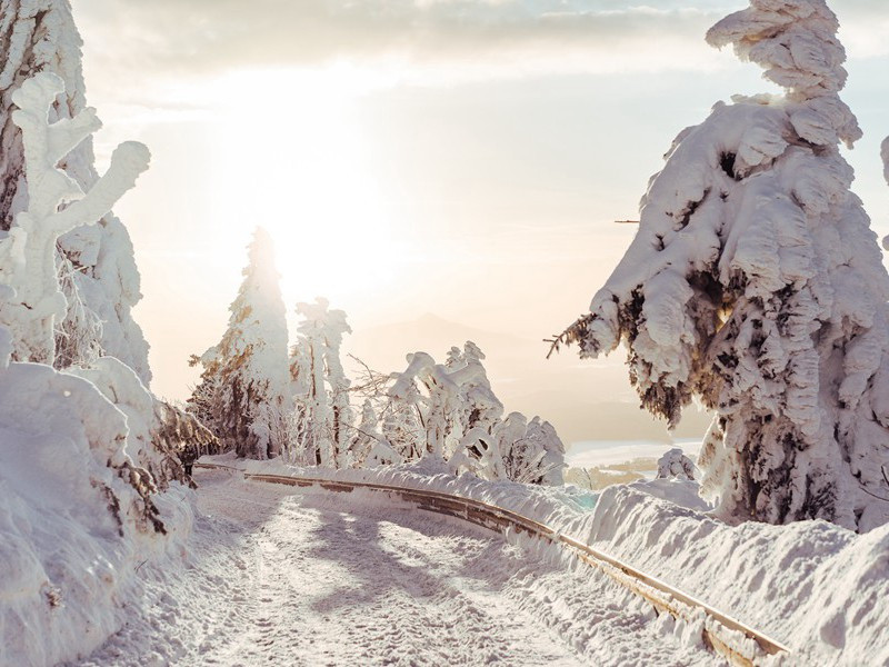 陪诸公上白帝城头宴越公堂之作