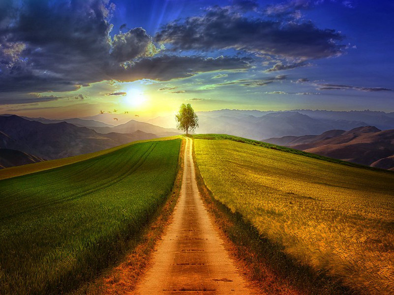 返照·楚王宫北正黄昏