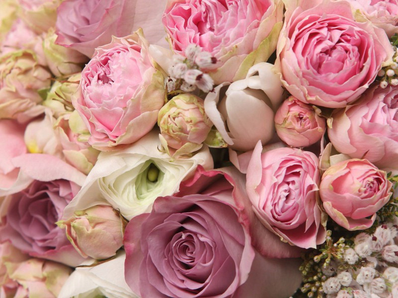 雨·万木云深隐