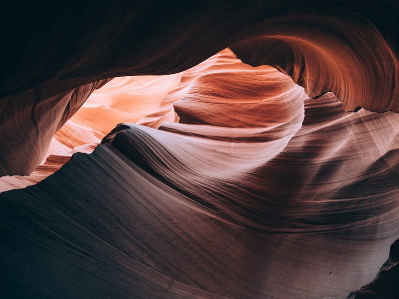 殿中杨监见示张旭草书图