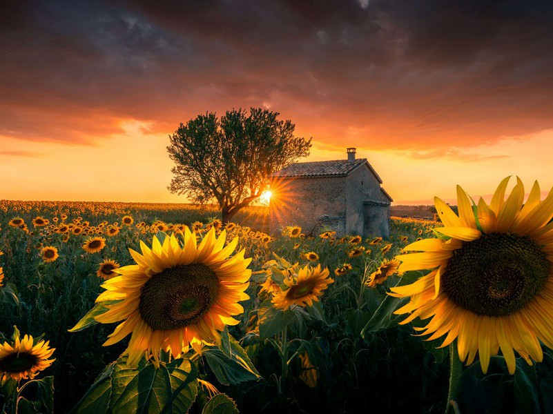 奉汉中王手札报韦侍御萧尊师亡