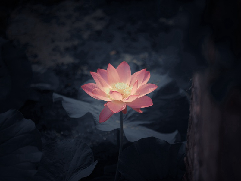 军中醉歌寄沈八刘叟