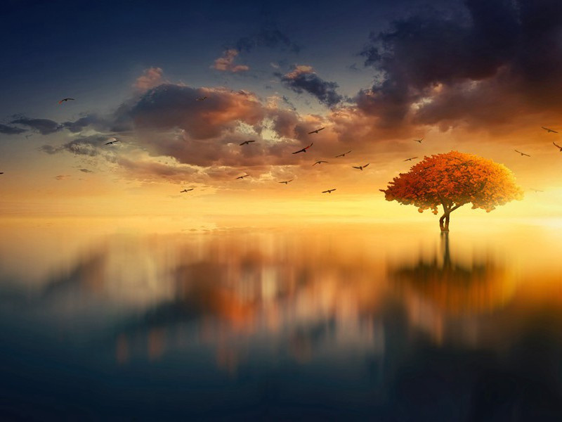 送殿中杨监赴蜀见相公