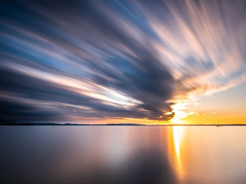 九日诸人集于林