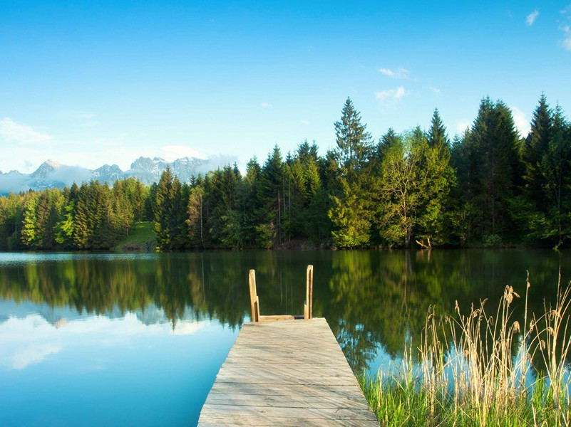 卜居·归羡辽东鹤